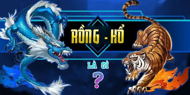 Tổng quan về tựa game rồng hổ